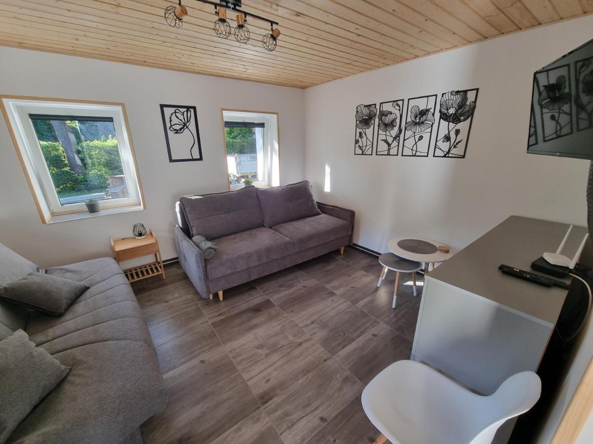 Apartamenty Salamandra Kłodzko Kültér fotó