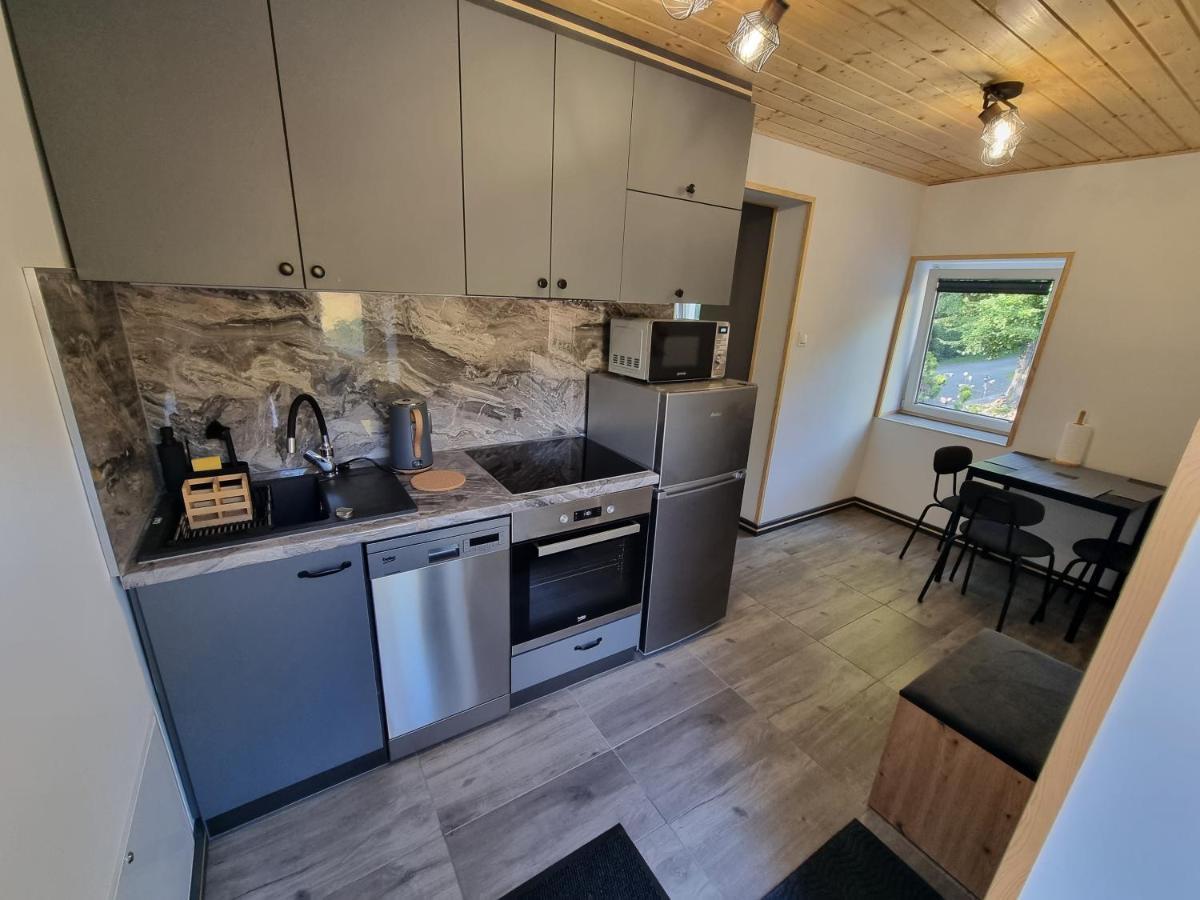 Apartamenty Salamandra Kłodzko Kültér fotó