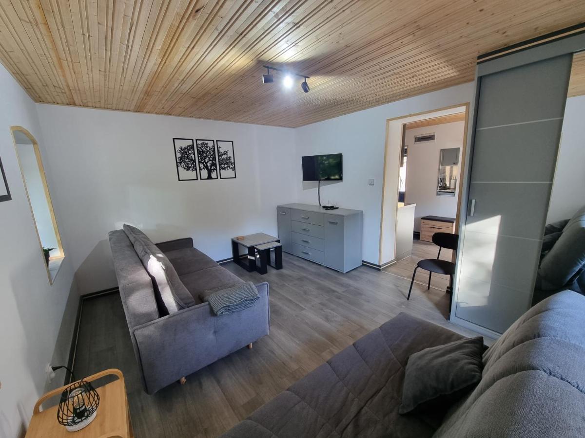 Apartamenty Salamandra Kłodzko Kültér fotó